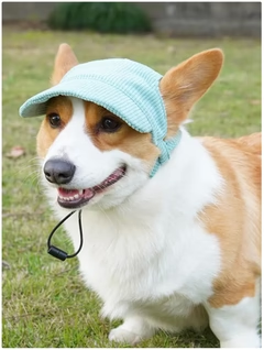 Kordfløjl Solhat til Hunde – Justerbar & Stilfuld Solbeskyttelse