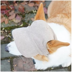 Kordfløjl Solhat til Hunde – Justerbar & Stilfuld Solbeskyttelse