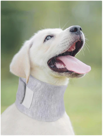 Justerbar Anti-slikke- og Anti-bide Beskyttelseskrave til Hunde