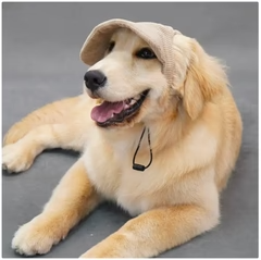 Kordfløjl Solhat til Hunde – Justerbar & Stilfuld Solbeskyttelse